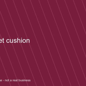 Velvet Cushion
